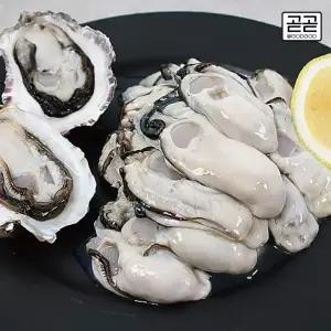 통영굴 횟감용 제철 햇 생굴 1kg 통영 직발송