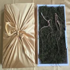 천생삼 산양산삼 17년근 정삼 특상품 2뿌리 산삼 산양삼 장뇌삼