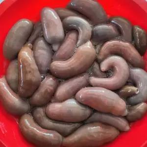 싱싱햇 국산 개불 개불미끼 낚시미끼 10미