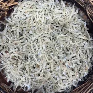 [NS홈쇼핑][밋앤밀] 남해 통영산 최상품 세멸치(볶음용) 1.5kg[34717094]