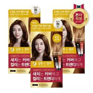 엘라스틴 살롱드컬러 염색약 밝은갈색 100g x 3개