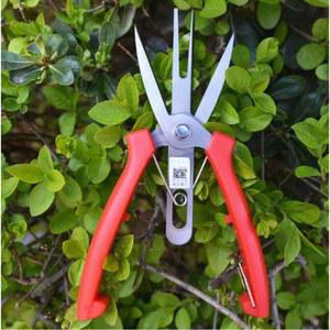 클래식 나무 적화 가위 적과 28 꽃가위 무브러시 형 올드한 사과 절삭공구 0셀 도구 포도알속기