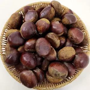 부여 밤 특품 대 3kg