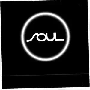 D21 소울호환 전용 LED 도어라이트