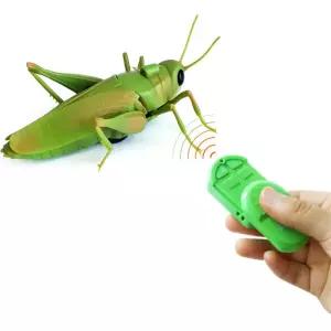진짜처럼 움직이는 무선조종 RC 메뚜기 인기 산타선물 창의성 어린이날선물 작동완구 추천