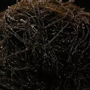 완도 염장꼬시래기 10kg / 식자재용