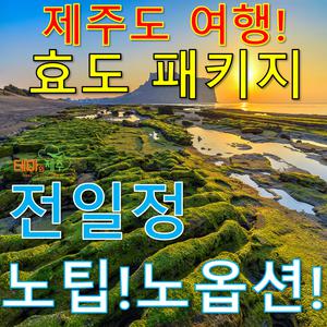 제주도패키지여행/전일정 추가비용 없는 효사랑 노팁 노옵션/항공+호텔+여행+식사포함
