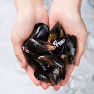 깔끔하게 손질된 국내산 세척 홍합 5kg 10kg /AC