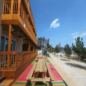 [전남] 아일랜드(전남, 완도)