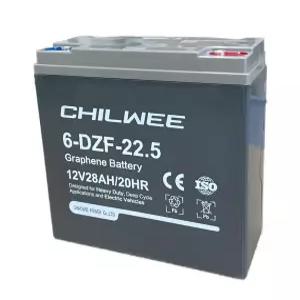 6-DZF-22 칠위 산업용 배터리 전동스쿠터 오토바이 테마파크 전동차