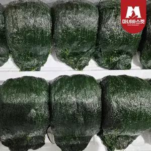 [마녀바스켓] 제철 청정 완도 햇 매생이 350g x2팩