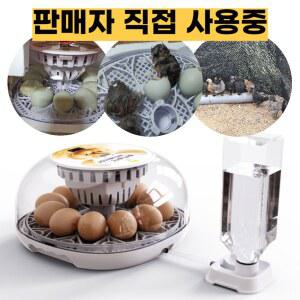 병아리부화기 12구 자동 전란 습도 조절 온도