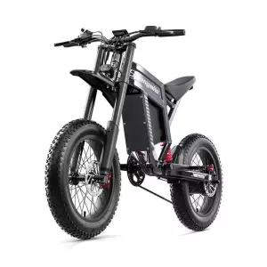 컴투스 전기자전거 자토바이 Z1 1500W 산악용 제품 팻바이크 신형 스핀턴