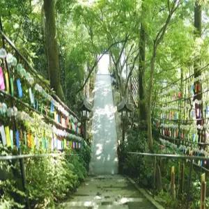 [힐링산책큐슈] 후쿠오카/유후인/벳부/구마모토 4일(신상온천호텔+월드체인+호텔식+술음료무제한)