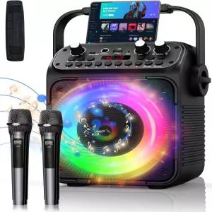 성인용 노래방 기계 2개의 무선 마이크가 있는 휴대용 시스템 DSP가 40W 스피커 에코 앤 리버브 7가지 컬러
