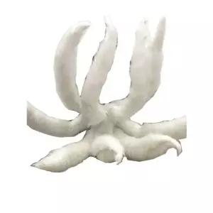 구미호 꼬리 할로윈 소품 (어린이용) 60cm 코스프레 컨셉 졸업사진