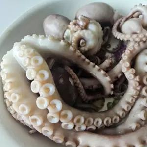 9미 냉동 낙지 초대왕