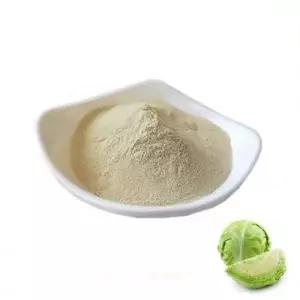 양배추추출분말 20kg 1box