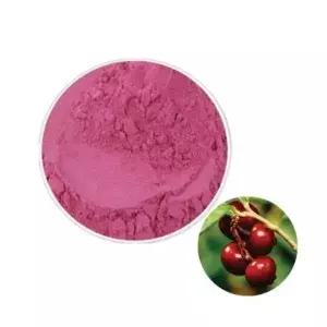 링곤베리주스분말 100g