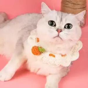 [반려] 오렌지뜨개애견케이프 진주뜨개레이스애견스카프