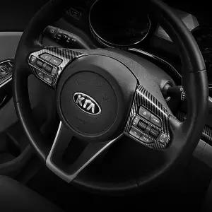 더뉴 올뉴 카니발 튜닝 핸들 리모컨 카본 몰딩