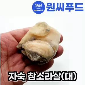 자숙 참소라살 대 실중량 800g IQF 냉동 피뿔고동살 자숙소라 피뿔고둥살 통참소라