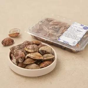 [생물][국산] 남해안 바지락 (300g)