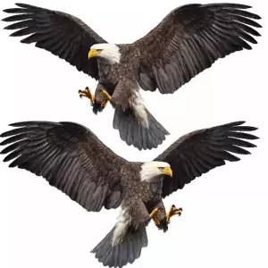 대형 독수리 스티커 맹금류 안전 입체 충돌 방지 차량용 유리