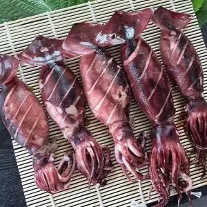 급냉 총알 초코 오징어 통찜 1kg 통오징어