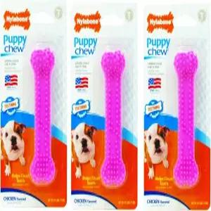 Nylabone (3팩) 강아지 전용 쁘띠 핑크 덴탈 본 츄 장난감
