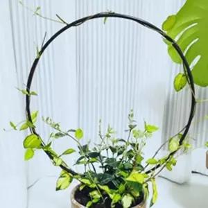 초록공간 원형 식물 지지대 2p 넝쿨 화분 철제 화초 지지픽 지주대 홈가드닝 꽃지