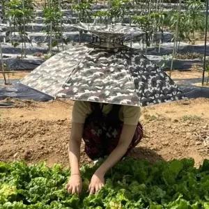 ( )2단 우산 모자 파라솔우산 모자파라솔