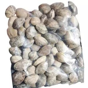 피바지락 600g 바지락 조개 해물