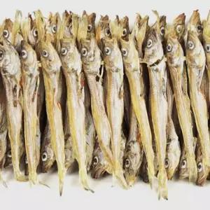 노가리 건조 말린  100마리