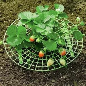 [셀러에이드]bns 채소 딸기재배 농사 작물 물빠짐 받침대 거치대