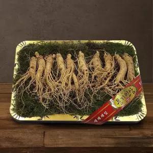 갤러리아 [풍기인삼] 5년근 수삼 1채 750g (8-10뿌리/등바구니)