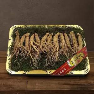 갤러리아 [풍기인삼] 5년근 수삼 1채 750g (10-15뿌리/등바구니)