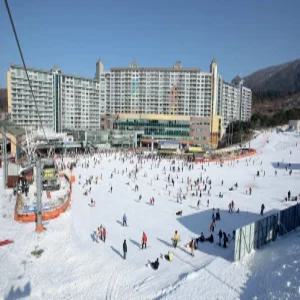 웰리힐리파크 리조트