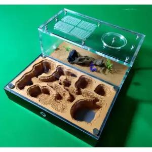 정글집 곤충 사육장 관찰 땅굴 터널 생태 과학 잠자리채 장난감 굴 개미 대탐