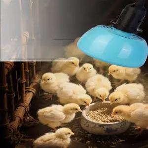 햄스터 램프 슈가글라이더 난방 조절기 스마트 온도