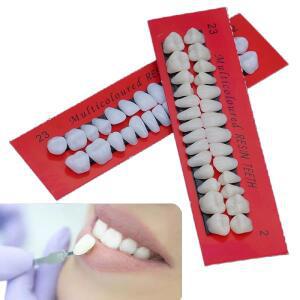 28개 실습용 치아 레진 치과 모형 풀 마우스 세트 실험실 교육, 학생 실습, 시험 및 교육용)