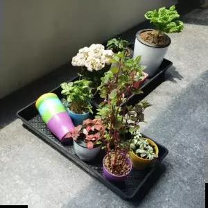 모종 직사각 모판 받침판 트레이 삽목상자 판받침대 모종 식물트레이 물빠짐 육묘상자