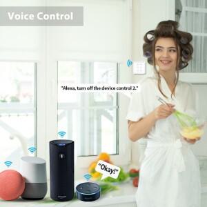 Tuya 스마트 라이프 EU WiFi 더블 커튼 블라인드 스위치 롤러 셔터 전기 모터 Google 홈 Alexa Echo 음성