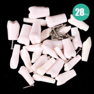 28개 치아 모형 타입도돈트 나사식 교체 치과 실습 교육용 레진 시뮬레이션