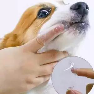 실리콘 반려동물 손가락 칫솔 고양이 강아지 손가락 칫솔 치아 구강