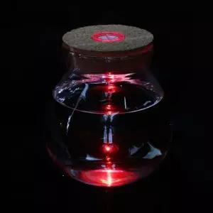 마리모병 마리모 키우기 LED 유리병 꾸미기 코르크병