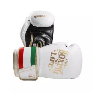 노복싱노라이프 복싱 글러브 프로 스타일 디자인 멕시코