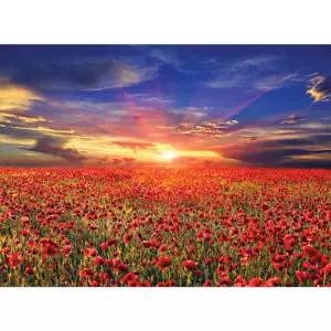 1000피스퍼즐 석양과 양귀비 꽃밭 미니
