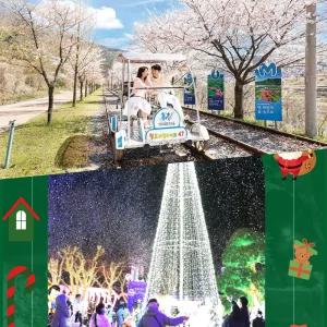 [청도] 레일바이크&프로방스 빛축제 PKG/청도가볼만한곳/야경/레일바이크/사진명소/액티비티/레저/관광/체험