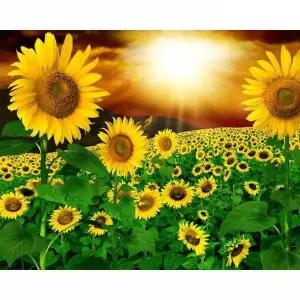 [셀러에이드]ToB 노을빛 해바라기 (패브릭) 보석십자수 40x50 패브릭형보석십자수